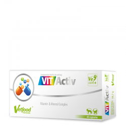 VitActiv 60 kapsulių