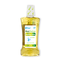 MAXI OraCare Healthy Dantenos 750 ml