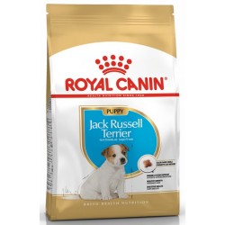 "Royal Canin Jack Russell Terrier Puppy" sausas ėdalas šuniukams iki 10 mėnesių, Jack Russell...