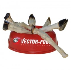 Vector-Food Jorko ėriuko blauzda 1 vnt