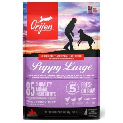 Orijen Didelių veislių šuniukai 6kg